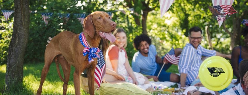 Celebrating Freedom with Pets