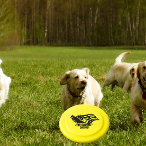 Freedom, Fetch & Fun: The Freedom250 Dog Disc (Dog Freesbie) That Lets Your Pup Fly Like America